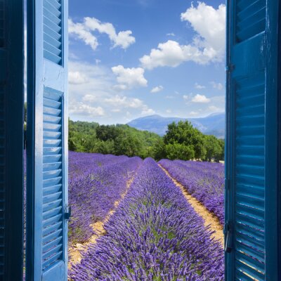 Een raam met uitzicht op het lavendelveld
