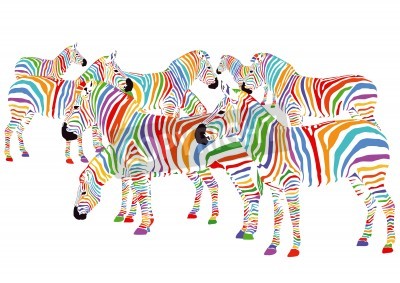 Sticker Een regenboog kudde zebra's op een witte achtergrond