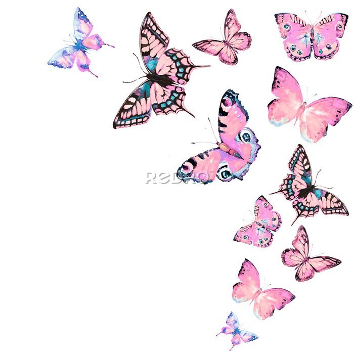 Sticker Een tros roze vlinders
