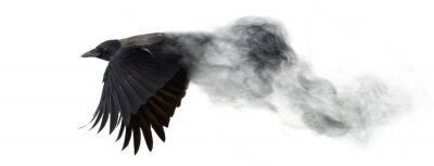 Sticker Een vliegende vogel die oplost in rook