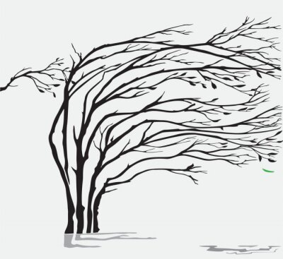 Sticker Een wilg onder een sterke storm en wind weer