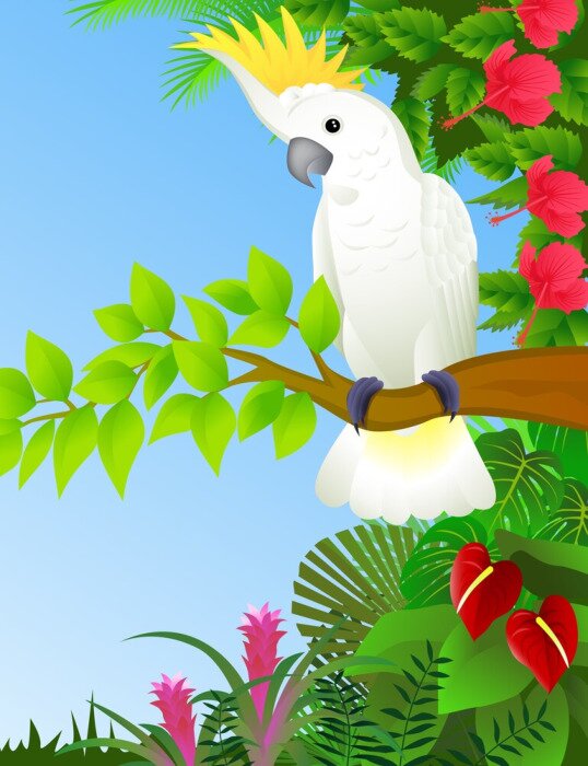 Sticker Een witte papegaai met een gele kuif