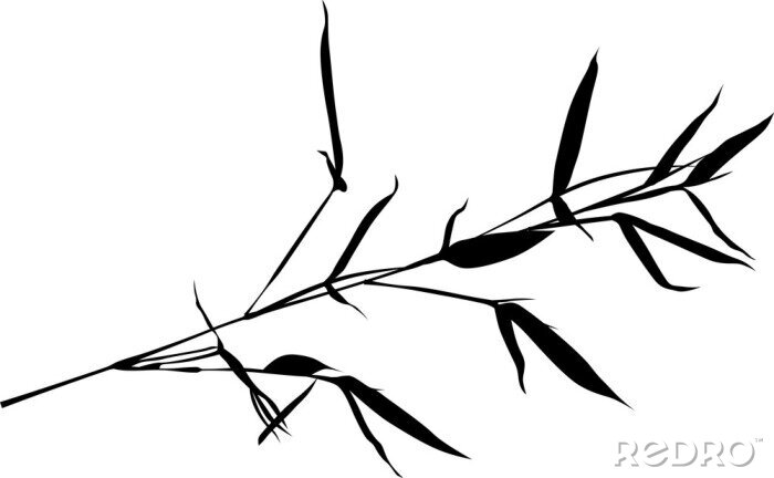 Sticker Een zwarte bamboe tak op wit wordt geïsoleerd