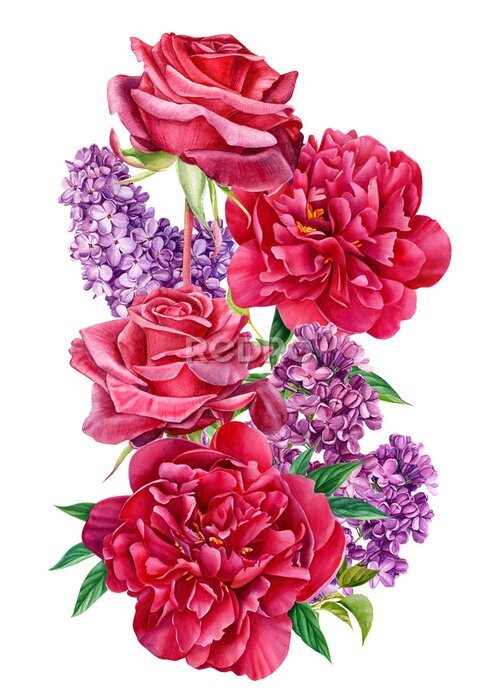 Sticker Elegante rode rozen