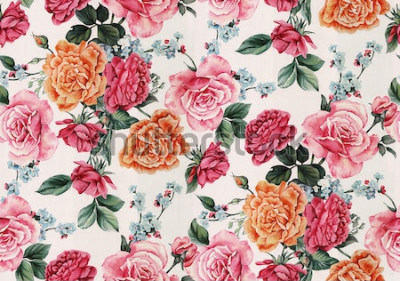 Sticker Engelse rozen in diverse kleuren