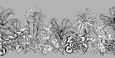 Sticker Equatoriale jungle plant schets