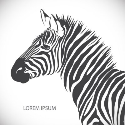Sticker Etiket met het hoofd van een zebra. Vector.