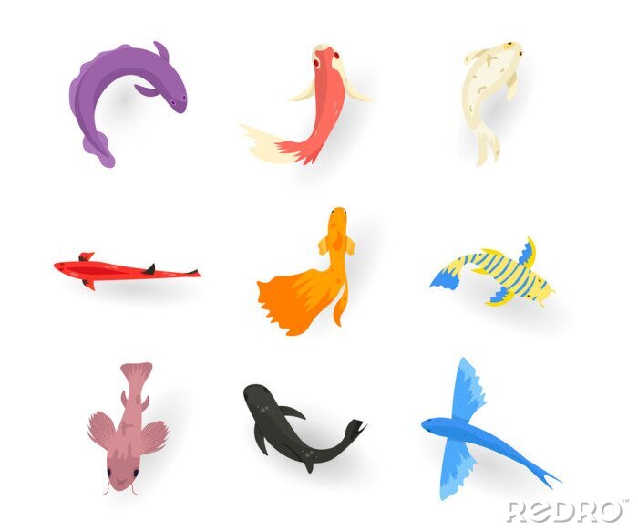 Sticker Exotic fish flat vector illustrations set