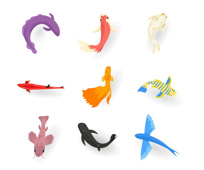 Sticker Exotic fish flat vector illustrations set