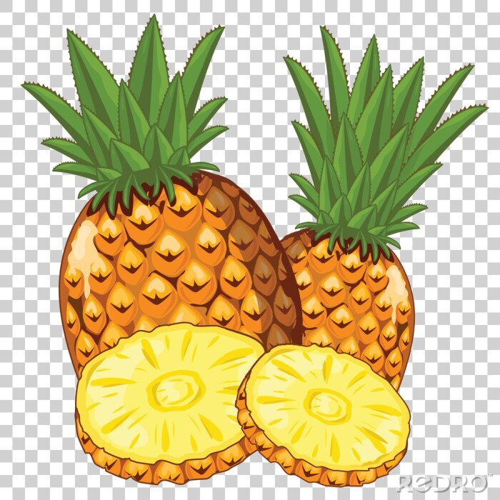 Sticker Exotische ananas eenvoudige afbeeldingen