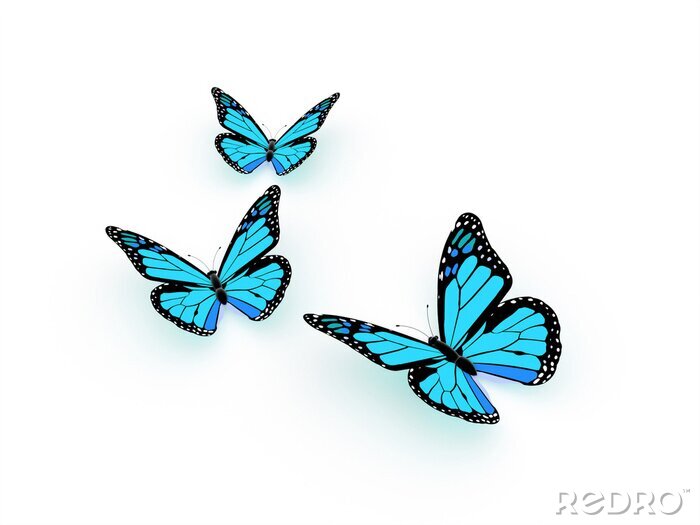 Sticker Exotische vlinders op een lichte achtergrond