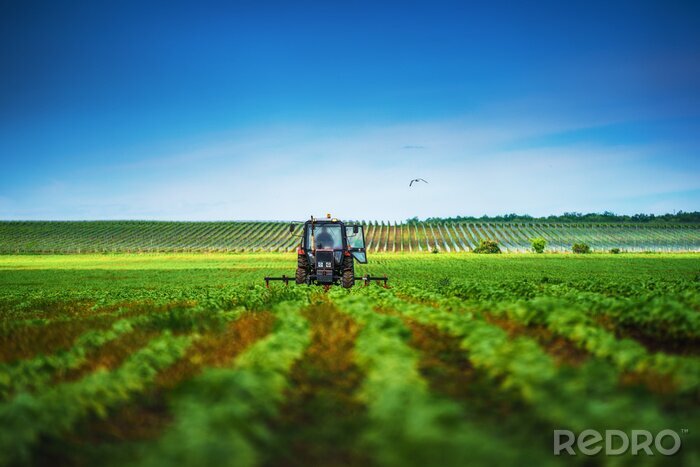 Sticker Farmer in tractor preparing land with cultivator in spring