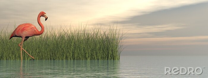 Sticker Flamingo en waterplanten