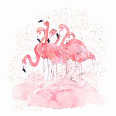 Flamingo's geschilderd met waterverf