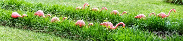 Sticker Flamingo's tussen het groene gras