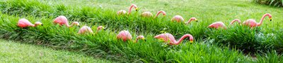 Sticker Flamingo's tussen het groene gras