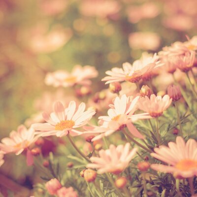 Sticker flower meadow vintage retro