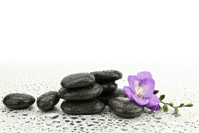 Sticker Frezja na kamieniach doen masażu