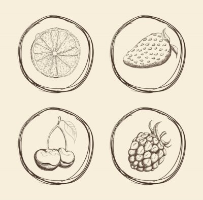 Sticker Fruits design icoon