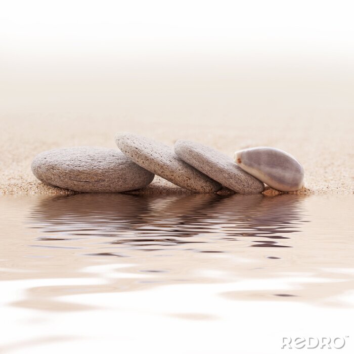 Sticker Galets zen et coquillage