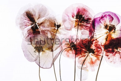 Sticker gedroogde bloemen