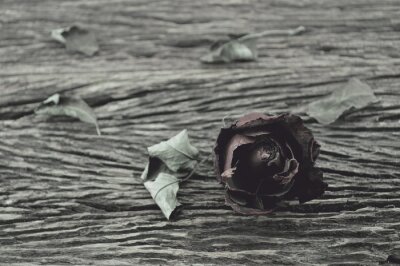 Sticker Gedroogde roos op een houten ondergrond