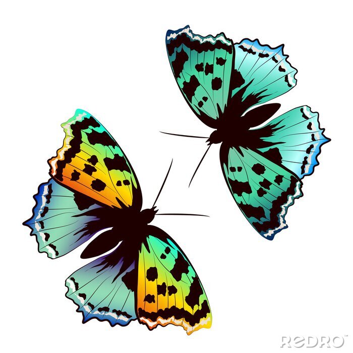 Sticker Gekleurde vlinders op een lichte achtergrond
