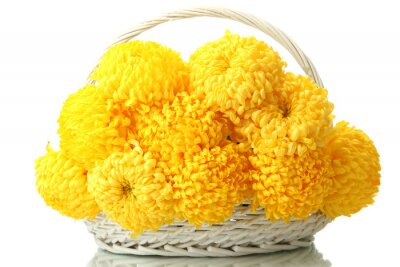 Sticker Gele bloemen in een mand
