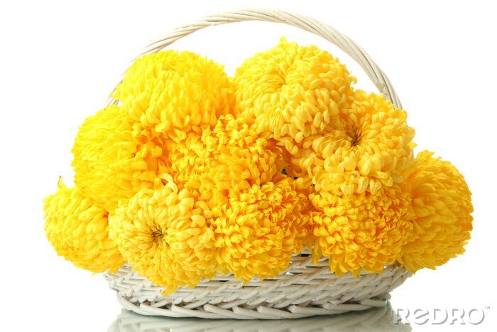 Sticker Gele bloemen in een mand