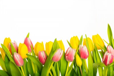 Sticker Gele en roze lentebloemen