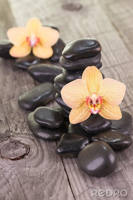 Sticker Gele Moth orchideeën en zwarte stenen op verweerde dek