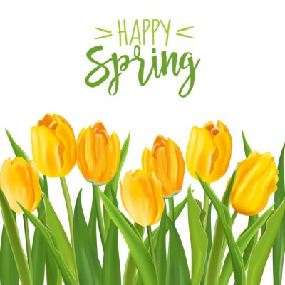 Sticker Gele tulpen in het voorjaar