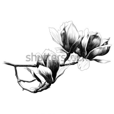 Sticker Getekende tak met bloemen