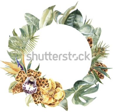 Sticker Gevlekte orchidee orchidee