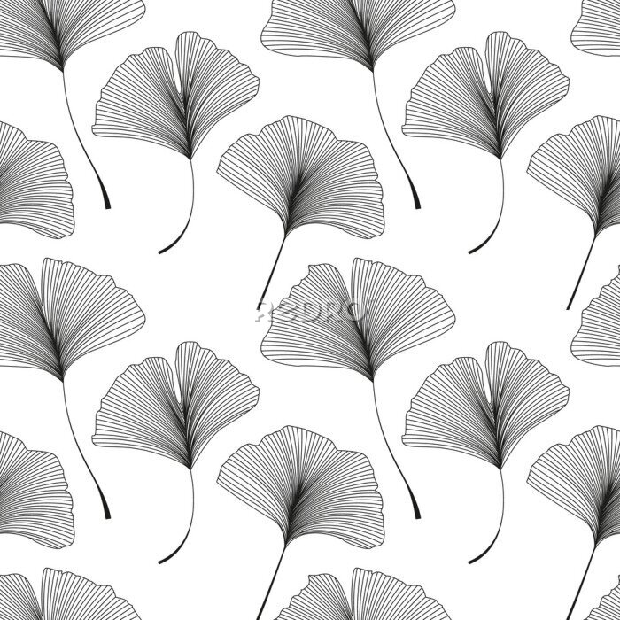 Sticker Ginkgo biloba bladeren