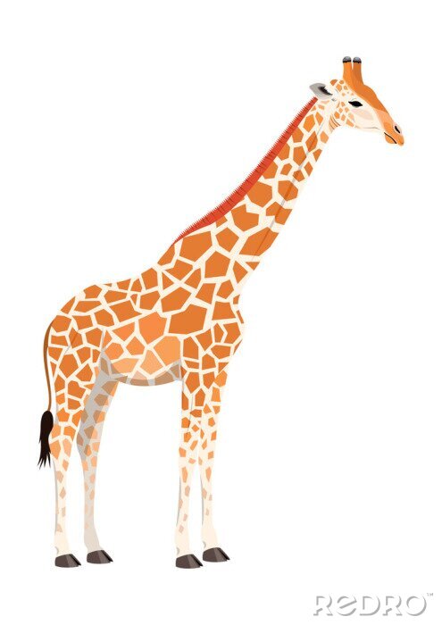 Sticker giraffe