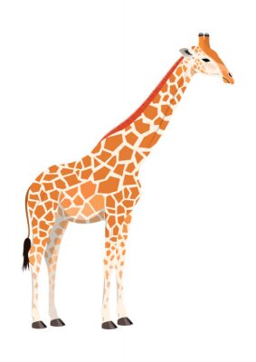 Sticker giraffe