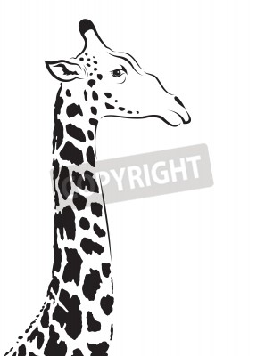 Sticker Giraffe hoofd zwart-wit tekening