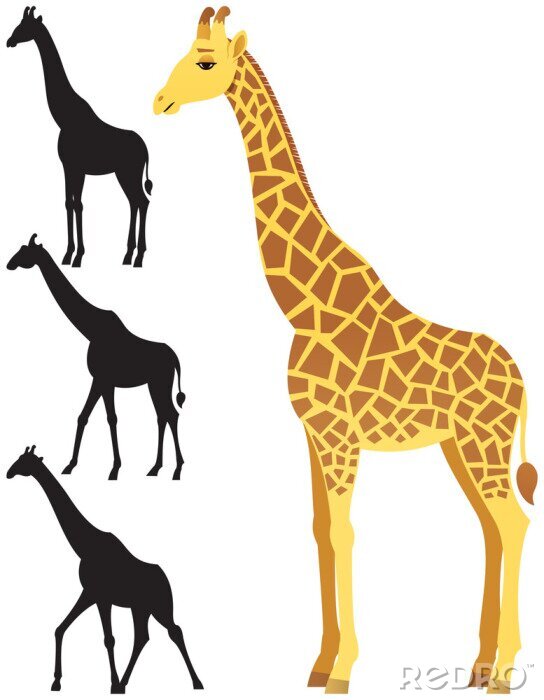 Sticker Giraffe / Illustratie van een giraffe op een witte achtergrond. 3 silhouet versies inbegrepen. Geen transparantie gebruikt. Basis (lineair) verlopen gebruikt.