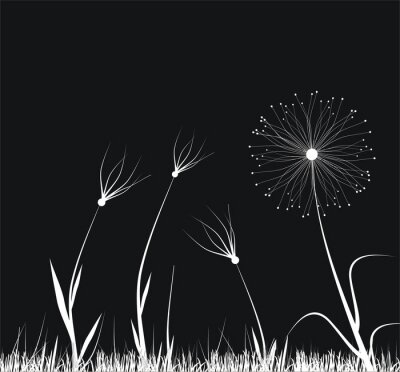 Sticker Grafisch met witte bloemen op een zwarte achtergrond