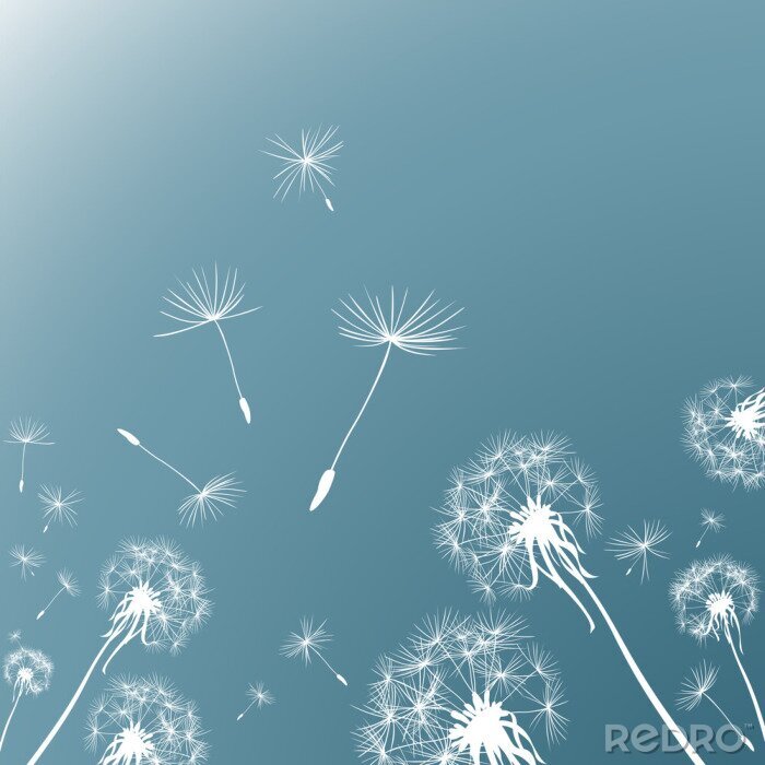 Sticker Grafische witte paardenbloemen en lucht