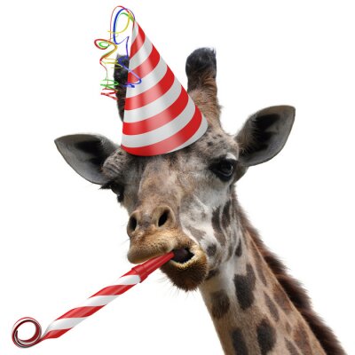 Sticker Grappige giraffe feestbeest een dwaas gezicht