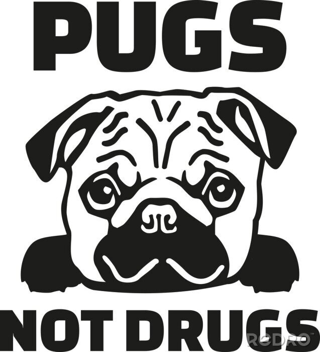 Sticker Grappige pug zeggen - Pugs niet drugs