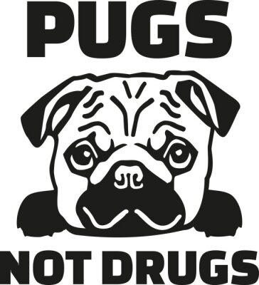Sticker Grappige pug zeggen - Pugs niet drugs