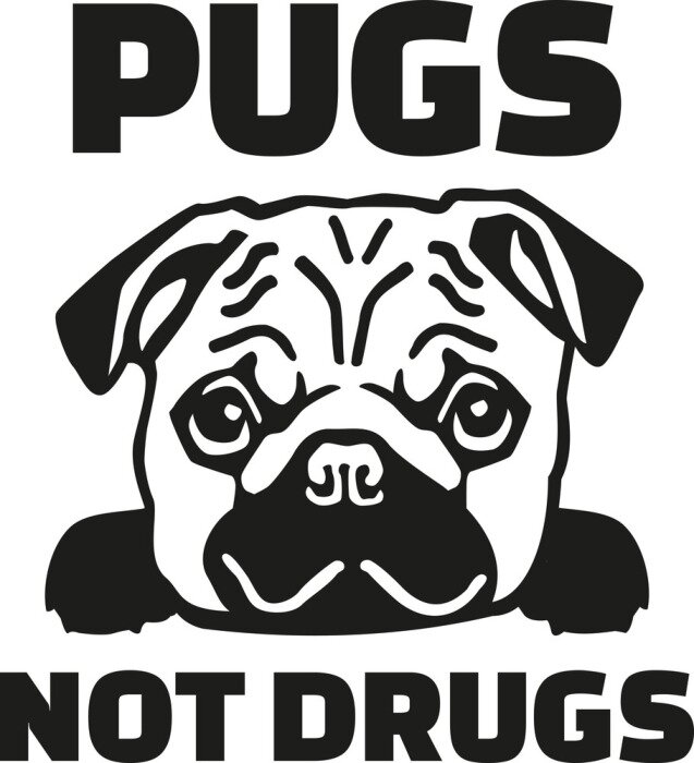 Sticker Grappige pug zeggen - Pugs niet drugs