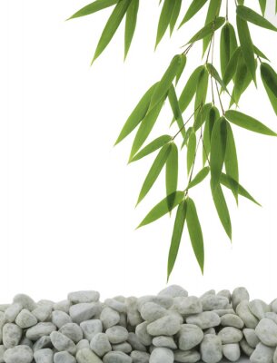 Sticker Groene bamboe en witte kiezelsteen