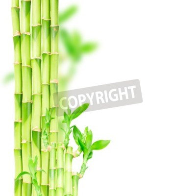 Sticker Groene bamboestammen en dakrandrand geïsoleerd op een witte achtergrond