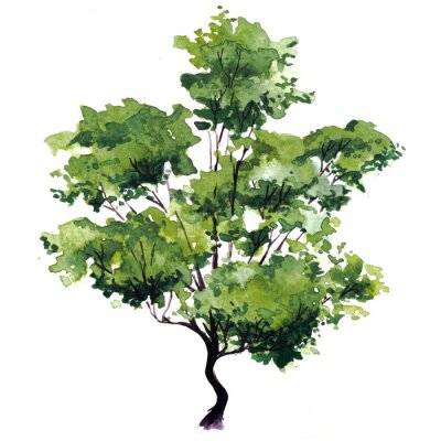 Sticker Groene bladeren aan de boom