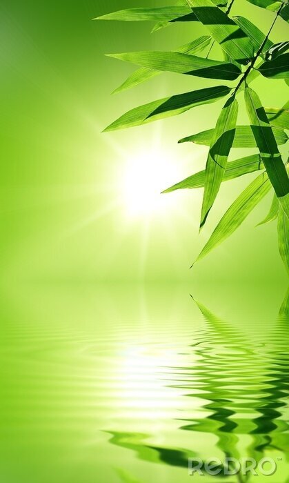 Sticker Groene natuur aan het water