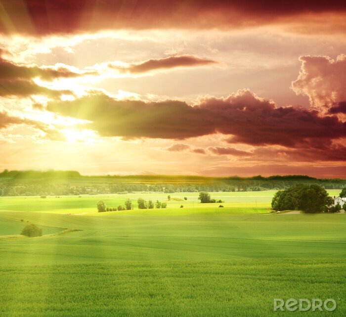 Sticker Groene velden op een achtergrond van zonsondergang